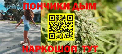 индика Дубна