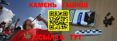 индика Дубна